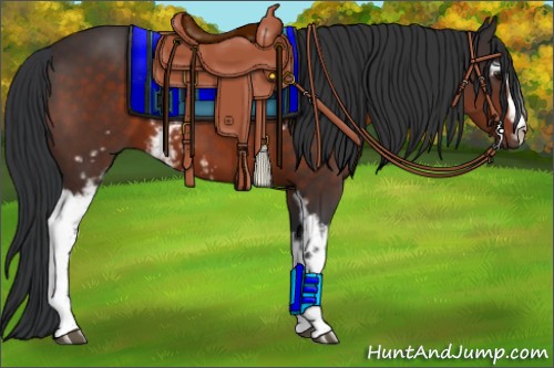 Horse Color:White Spotted Brown 