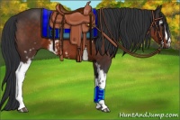 Horse Color:White Spotted Brown 