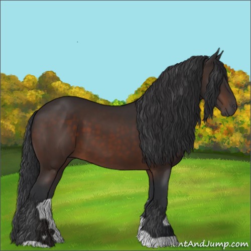 Horse Color:Brown 