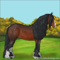 Horse Color:Brown Sabino