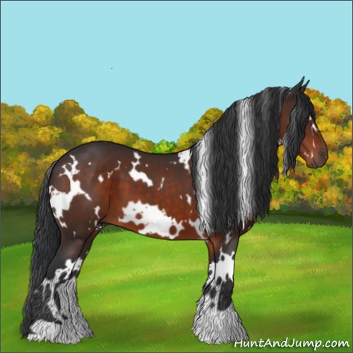 Horse Color:White Spotted Brown 