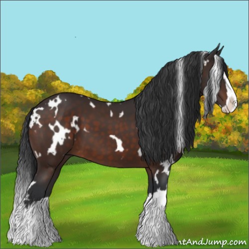 Horse Color:White Spotted Brown Splash