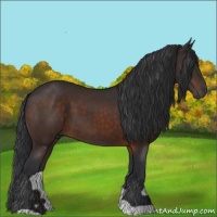 Horse Color:Brown 