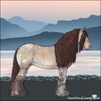 Horse Color:Chocolate Brown Ice Roan Dun