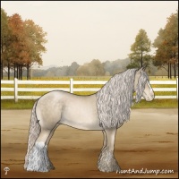 Horse Color:Chocolate Palomino Pearl Mushroom Rabicano 