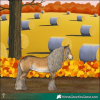 Horse Color:Chocolate Palomino Dun Mushroom Rabicano