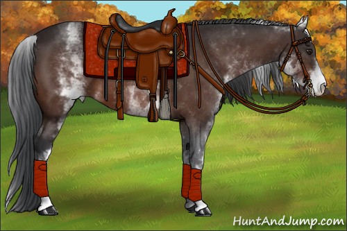 Horse Color:White Spotted Brown Sabino 