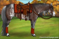 Horse Color:White Spotted Brown Sabino 