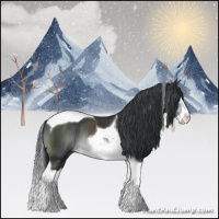 Horse Color:Brown Chinchilla Splash Tobiano Rabicano 