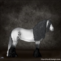 Horse Color:Void White Spotted Brown Chinchilla Tobiano 