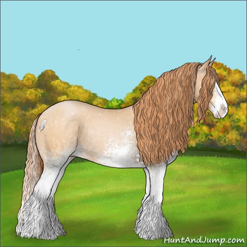 Horse Color:White Spotted Buckskin Pearl Splash Snowflake Varnish
