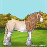 Horse Color:White Spotted Buckskin Pearl Splash Snowflake Varnish 