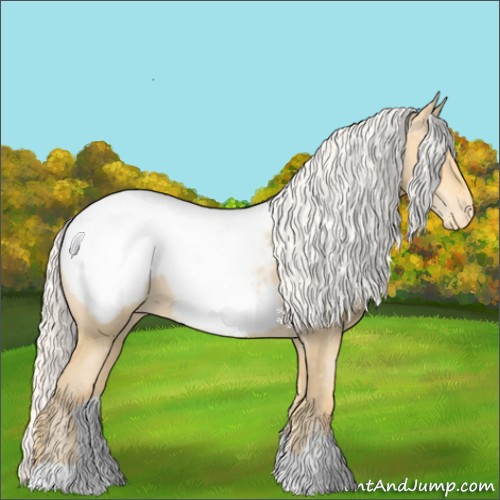 Horse Color:Silver Buckskin Pearl Appaloosa 