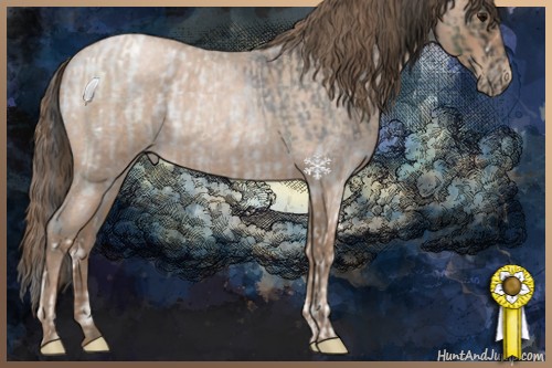 Horse Color:Blue Roan Blanket and Blue Roan Pearl