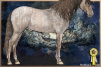 Horse Color:Blue Roan Appaloosa  and Blue Roan Pearl 
