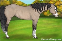 Horse Color:Brown Roan Dun Splash 
