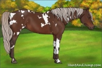 Horse Color:White Spotted Silver Brown 