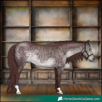 Horse Color:Platinum Chocolate Buckskin 