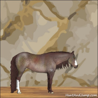 Horse Color:Platinum Chocolate Brown 