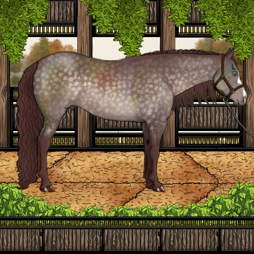 Horse Color:Platinum Chocolate Buckskin 
