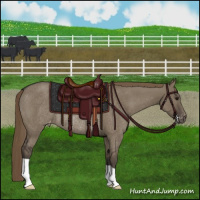 Horse Color:Smoky Grullo Varnish Rabicano