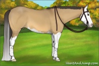 Horse Color:Buckskin Dun Splash 