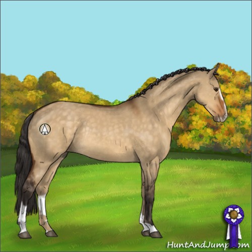 Horse Color:Buckskin Dun Sabino Rabicano