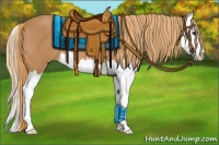 Horse Color:Chestnut Splash 