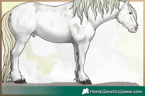 Horse Color:Watercolor Liver Red Onyx Chinchilla Ice Sabino Appaloosa 