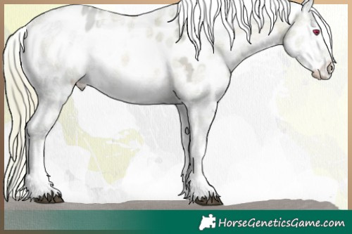 Horse Color:Watercolor Liver Red Onyx Chinchilla Ice Sabino Appaloosa 