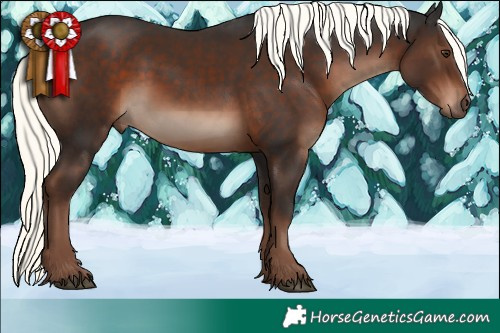 Horse Color:Liver Chestnut Mushroom Rabicano