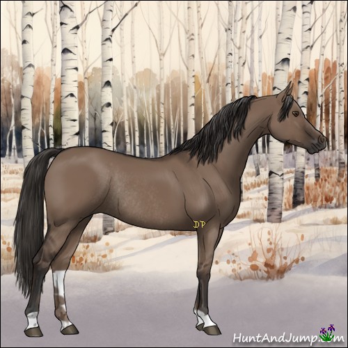 Horse Color:Liver Red Dun Rabicano 
