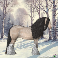 Horse Color:Bay Ice Dun 