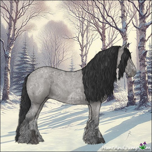 Horse Color:Grullo Ice Roan 
