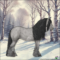 Horse Color:Grullo Ice Roan 