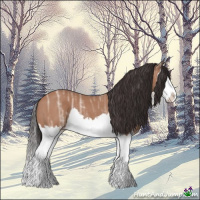 Horse Color:Bay Ice Splash 