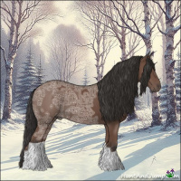 Horse Color:Bay Ice 