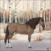 Horse Color:Liver Red Dun Tobiano