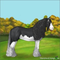 Horse Color:Black Splash