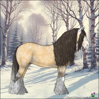 Horse Color:Buckskin Ice Dun Splash 