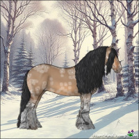 Horse Color:Bay Ice Dun 