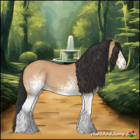 Horse Color:White Spotted Bay Dun Rabicano