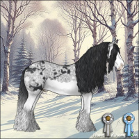 Horse Color:Black Ice Splash 