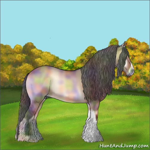 Horse Color:Nacre Bay Onyx 