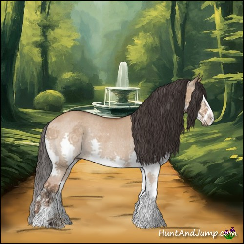 Horse Color:Bay Dun Splash Rabicano