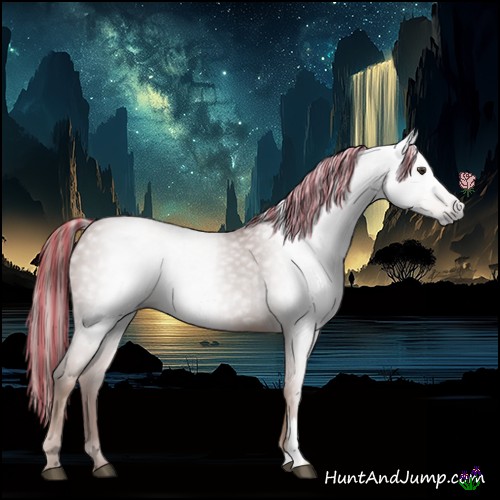 Horse Color:Gray Painted Chestnut 