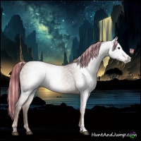 Horse Color:Gray Painted Chestnut 