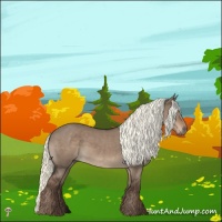 Horse Color:Liver Red Dun Mushroom Rabicano 