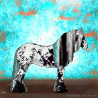 Horse Color:Amber Champagne Dun Sabino 