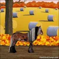 Horse Color:Void White Spotted Silver Brown